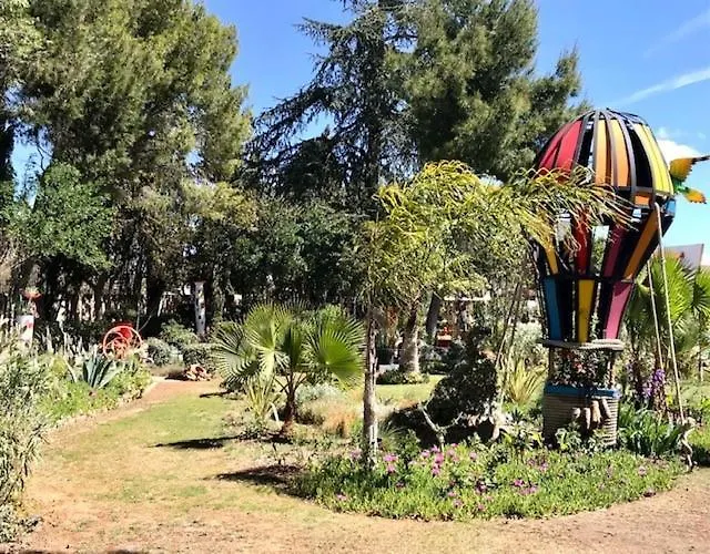 La cactée singulière